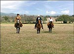 Horseback Riding at Post Oak Farm