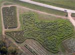 Travel through Texas - a Texas Maze that is! Sweetberry Farm in Marble Falls