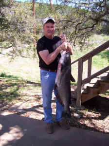 Sam's 39 lb Catfish