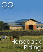 Go Horseback Riding in the Texas Hill Country