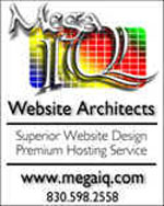 MegaIQ Website Architects
